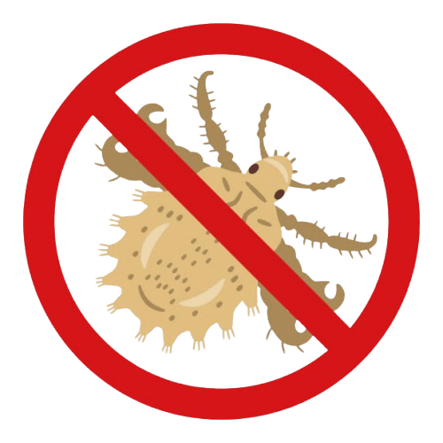 traitement poux Montpon-Ménestérol