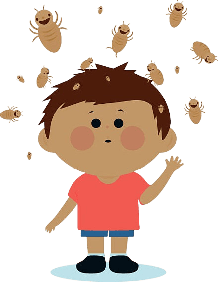 traitement poux Montpon-Ménestérol